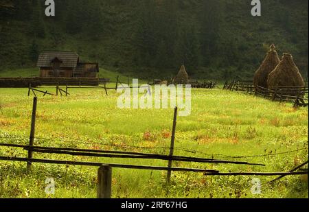 Weide mit traditionellen Heuhaufen im Kreis Neamt, Rumänien, um 2000 Stockfoto