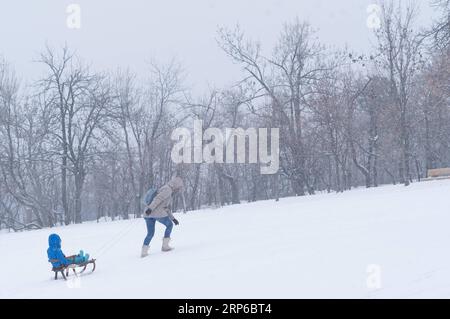 (190108) -- BUDAPEST, 8. Januar 2019 -- Menschen haben Spaß in einem schneebedeckten Wald in der Nähe von Budapest, Ungarn, am 8. Januar 2019. Starke Schneefälle in Ungarn haben den Luft- und Straßenverkehr gestört oder sogar gelähmt, so offizielle Quellen hier am Dienstag. ) UNGARN-BUDAPEST-SNOW AttilaxVolgyi PUBLICATIONxNOTxINxCHN Stockfoto