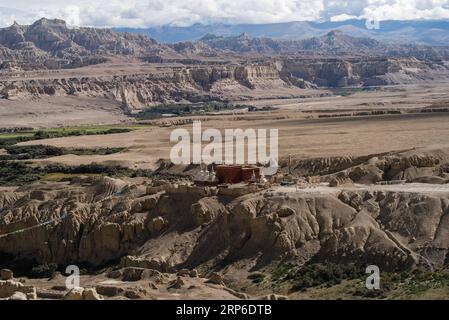 (190110) -- PEKING, 10. Januar 2019 (Xinhua) -- Foto aufgenommen am 31. August 2017 zeigt die einzigartige Landschaft des Erdwaldes in der Provinz Zanda der Präfektur Ngari, der autonomen Region Tibet im Südwesten Chinas. Zanda bietet die einzigartige Landschaft des Erdwaldes und die gut erhaltene Stätte des Königreichs Guge. Das antike Königreich Guge wurde um das 9. Jahrhundert gegründet, verschwand aber auf mysteriöse Weise im 17. Jahrhundert. Ngari, in einer durchschnittlichen Höhe von 4.500 Metern, wird auch als die Spitze des Dachs der Welt bezeichnet. Es war schon immer das Kronjuwel für Abenteurer und Archäologen, und danach kamen Touristen. (X Stockfoto