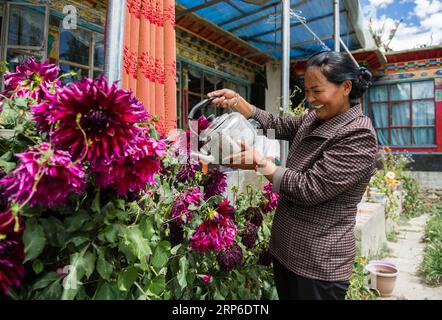 (190110) -- PEKING, 10. Januar 2019 (Xinhua) -- Foto aufgenommen am 31. August 2017 zeigt eine Dorfbewohnerin, die die Blumen in ihrer Herberge im Dorf Zhaburang im Bezirk Zanda der Präfektur Ngari tränkt. Zanda bietet die einzigartige Landschaft des Erdwaldes und die gut erhaltene Stätte des Königreichs Guge. Das antike Königreich Guge wurde um das 9. Jahrhundert gegründet, verschwand aber auf mysteriöse Weise im 17. Jahrhundert. Ngari, in einer durchschnittlichen Höhe von 4.500 Metern, wird auch als die Spitze des Dachs der Welt bezeichnet. Es war schon immer das Kronjuwel für Abenteurer und Archäologen, an Stockfoto