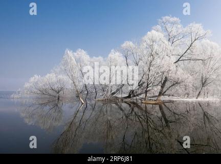 (190115) -- PEKING, 15. Januar 2019 -- Foto aufgenommen am 13. Januar 2019 zeigt frostige Landschaften im Jizhou Bezirk von Tianjin, Nordchina. ) XINHUA FOTOS DES TAGES WangxGuangshan PUBLICATIONxNOTxINxCHN Stockfoto