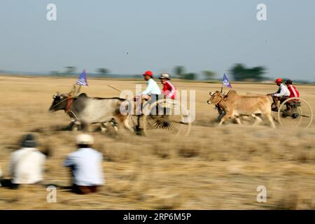 (190116) -- THEGONE, 16. Januar 2019 -- Dorfbewohner nehmen am 16. Januar 2019 an einem Farren-Karren-Rennen im Township Thegone im Bezirk Pyay in der Region Bago, Myanmar, Teil. U Aung) MYANMAR-THEGONE-BULLOCK CART RACING yangon PUBLICATIONxNOTxINxCHN Stockfoto