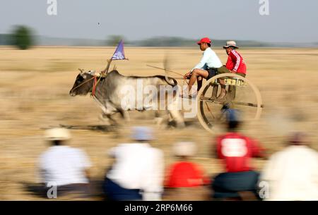 (190116) -- THEGONE, 16. Januar 2019 -- Dorfbewohner nehmen am 16. Januar 2019 an einem Farren-Karren-Rennen im Township Thegone im Bezirk Pyay in der Region Bago, Myanmar, Teil. U Aung) MYANMAR-THEGONE-BULLOCK CART RACING yangon PUBLICATIONxNOTxINxCHN Stockfoto