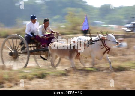 (190116) -- THEGONE, 16. Januar 2019 -- Dorfbewohner nehmen am 16. Januar 2019 an einem Farren-Karren-Rennen im Township Thegone im Bezirk Pyay in der Region Bago, Myanmar, Teil. U Aung) MYANMAR-THEGONE-BULLOCK CART RACING yangon PUBLICATIONxNOTxINxCHN Stockfoto