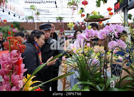 (190120) -- PEKING, 20. Januar 2019 (Xinhua) -- Besucher schätzen Blumenarbeiten auf einer Blumenausstellung in Peking, Hauptstadt Chinas, 20. Januar 2019. Während der Ausstellung für das kommende Frühlingsfest werden über 160 Blumenkultur-Werke präsentiert. (Xinhua/Li Xin) CHINA-BEIJING-SPRING FESTIVAL-BLUMEN-AUSSTELLUNG (CN) PUBLICATIONxNOTxINxCHN Stockfoto