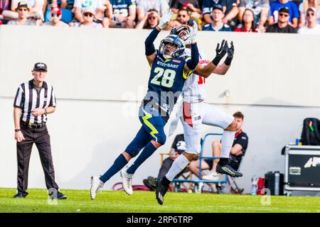 Stuttgart, Deutschland. September 2023. European League of Football, elf/ Game : Helvetische Garde bei Stuttgart Surge am 03. September 2023, im Gazi-Stadion, Stuttgart, Deutschland, Stuttgart Surge/DB # 28 Kai Singer vs. Helvetic Guards/WR # 17 Pierre-Yves Dayres Credit: Frank Baumert/Alamy Live News Stockfoto