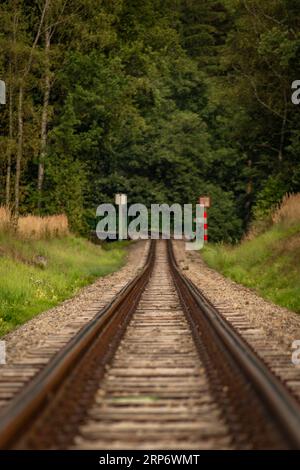 Schmalspurbahn bei Weitra im Sommer Österreich Stockfoto