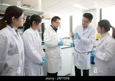 (190124) -- SHANGHAI, 24. Januar 2019 -- der Forscher Zhang Hongjun (2. R) diskutiert das experimentelle Design mit seinen Teammitgliedern in einem Labor des Instituts für Neurowissenschaften der chinesischen Akademie der Wissenschaften in Shanghai, Ostchina, 22. Januar 2019. China hat fünf Affen von einem geneditierten Makaken mit zirkadianen Rhythmusstörungen geklont, das erste Mal wurden mehrere Affen von einem geneditierten Affen für biomedizinische Forschung geklont. Wissenschaftler gaben die Ankündigung am Donnerstag mit zwei Artikeln heraus, die in National Science Review, einer führenden chinesischen Zeitschrift auf Englisch, veröffentlicht wurden. Die geklonten Affen wurden geboren Stockfoto