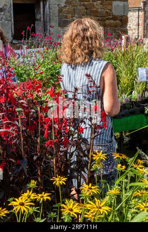 Junge Frau zwischen Blumen und Pflanzen auf einer Gartenmesse oder einem Gartencenter an einem Sommertag, die zwischen den Beständen sucht und stöbert. Stockfoto