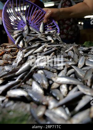 (190124) -- QUEZON, 24. Januar 2019 -- Ein Verkäufer arrangiert Süßwassersardinen, die lokal als Tawilis bekannt sind und auf einem Markt in Quezon City, Philippinen, 24. Januar 2019 verkauft werden. Die Süßwassersardinen Tawilis, ein Fisch, der nur im Taal Lake auf den Philippinen zu finden ist, sind heute eine gefährdete Art, berichteten philippinische Medien am Donnerstag. Eine Studie der International Union for Conservation of Nature (IUCN) besagt, dass Tawilis, auch bekannt als Bonbonsardinen oder Süßwassersardinellen, als gefährdete Art markiert wurde. ) PHILIPPINEN-QUEZON-MARKT-GEFÄHRDETE SÜSSWASSERSARDINEN ROUELLEXUMALI PUBLICATIONX Stockfoto