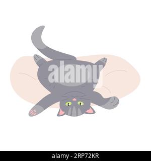 Entspannte, faule Katze auf weichem, kleinem Bett. Auf dem Rücken liegend Kätzchen, Haustier-Cartoon-Vektor-Illustration Stock Vektor