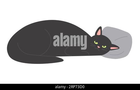 Schwarze Katze schläft auf Kissen. Flauschige Hauskitte, Familie Haustier Freund Zeichentrickvektor Illustration Stock Vektor