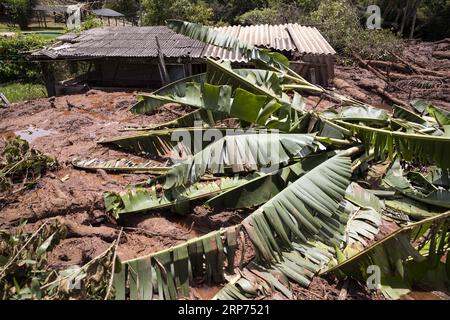 (190128) -- BRUMADINHO, 28. Januar 2019 (Xinhua) -- Foto aufgenommen am 27. Januar 2019 zeigt ein zerstörtes Haus in dem Gebiet, das vom Zusammenbruch eines Bergabdeckungsdamms betroffen war, in der Nähe der Stadt Brumadinho, dem Bundesstaat Minas Gerias, Brasilien. Die Zahl der Todesopfer von Brasiliens eingestürztem Bergregierdamm stieg auf 58, wobei 305 Menschen im südöstlichen brasilianischen Bundesstaat Minas Gerais immer noch vermisst wurden, sagten die lokalen Behörden. (Xinhua/Li Ming) BRASILIEN-BRUMADINHO-DAM-COLLAPSE PUBLICATIONxNOTxINxCHN Stockfoto