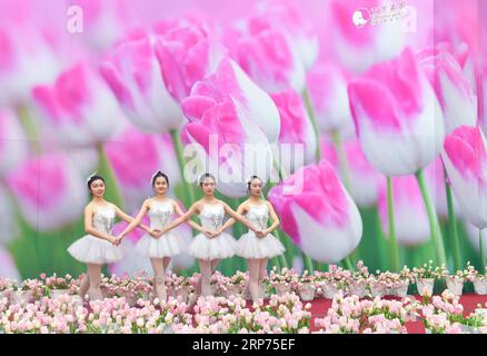 (190128) -- GUANGZHOU, 28. Januar 2019 (Xinhua) -- Tänzer spielen Ballett während einer Tulpenshow in einem Garten in der Nansha Freihandelszone in der südchinesischen Provinz Guangdong, 28. Januar 2019. Mehr als 30 Tulpensorten, die aus dem Keukenhof-Garten der Niederlande eingeführt wurden, wurden hier vor kurzem gezeigt. (Xinhua/Liu Dawei) CHINA-GUANGDONG-EXHIBITION-TULIPS (CN) PUBLICATIONxNOTxINxCHN Stockfoto