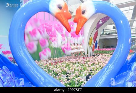 (190128) -- GUANGZHOU, 28. Januar 2019 (Xinhua) -- Tänzer spielen Ballett während einer Tulpenshow in einem Garten in der Nansha Freihandelszone in der südchinesischen Provinz Guangdong, 28. Januar 2019. Mehr als 30 Tulpensorten, die aus dem Keukenhof-Garten der Niederlande eingeführt wurden, wurden hier vor kurzem gezeigt. (Xinhua/Liu Dawei) CHINA-GUANGDONG-EXHIBITION-TULIPS (CN) PUBLICATIONxNOTxINxCHN Stockfoto