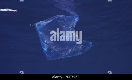 Blauer Einweg-Plastikbeutel schwimmt unter der Oberfläche in blauem Wasser. Plastiktüte, die ins Meer geworfen wurde, treibt morgens unter blauem Wasser, Rot Stockfoto