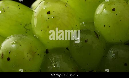 Nahaufnahme von einem Haufen grüner Trauben mit Wassertropfen Stockfoto