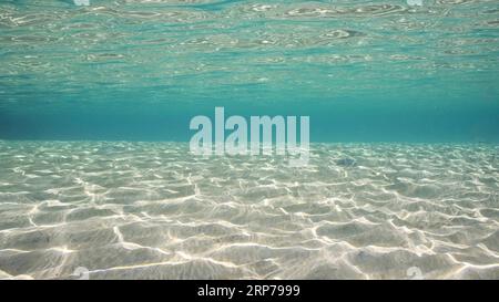 Sandiges, flaches Wasser in der Sonne und Blendung auf dem Meeresboden. Sonnenlicht durchdringt die Oberfläche von türkisfarbenem Wasser und blendet auf sandigem Boden in flacher Umgebung Stockfoto