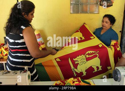 (190201) -- COLOMBO, 1. Februar 2019 -- Schneider machen am 31. Januar 2019 in einem kleinen Geschäft in Colombo, Sri Lanka, Nationalflaggen. Sri Lanka feiert am 4. Februar seinen 71. Unabhängigkeitstag. ) SRI LANKA-COLOMBO-UNABHÄNGIGKEITSTAG-VORBEREITUNG GAYANXSAMEERA PUBLICATIONXNOTXINXCHN Stockfoto