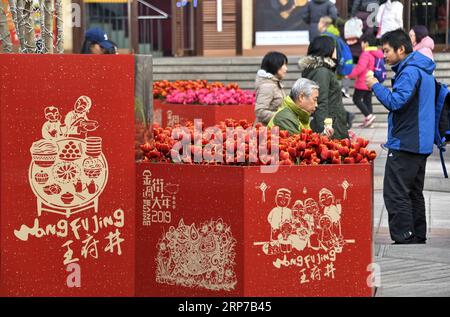 190202 -- PEKING, 2. Februar 2019 Xinhua -- Foto aufgenommen am 2. Februar 2019 zeigt die Wangfujing Straße mit Blumen in Peking, der Hauptstadt von China. Die Wangfujing Street, eine der wohlhabendsten Geschäftszonen der Stadt, ist mit einer festlichen Atmosphäre des Frühlingsfestivals gefüllt. Das Frühlingsfest, das chinesische Neujahr, findet dieses Jahr am 5. Februar statt. Xinhua/Li Xin CHINA-BEIJING-WANGFUJING-SPRING FESTIVAL CN PUBLICATIONxNOTxINxCHN Stockfoto