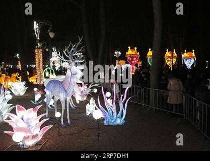 (190204) -- BELGRAD, 4. Februar 2019 -- am 4. Februar 2019 besuchen Menschen das Chinesische Lichtfestival im Kalemegdan Park in der Innenstadt von Belgrad, Serbien. Das Chinesische Lichtfestival findet vom 4. Bis 24. Februar statt, um das chinesische Mondneujahr zu feiern. ) SERBIEN-BELGRAD-CHINESISCHES LICHTFESTIVAL PredragxMilosavljevic PUBLICATIONxNOTxINxCHN Stockfoto