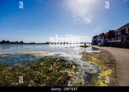 Shore Road in Bosham, einem Küstendorf an der Südküste von Chichester Harbour, West Sussex, Südengland, überflutet bei Flut Stockfoto
