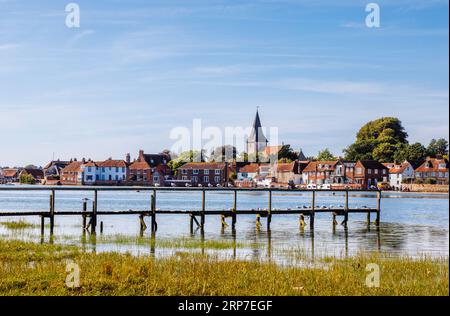 Eine Reihe von gemeinen Gulls (Larus canus), die an einem Steg in Bosham, einem Dorf an der Südküste von Chichester Harbour, West Sussex, Südengland, thronen Stockfoto