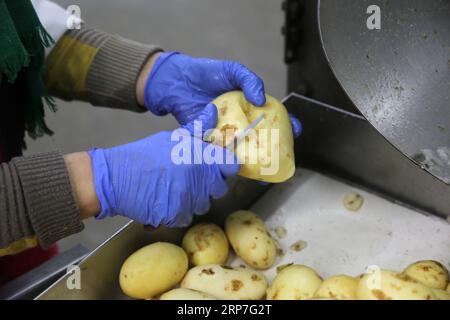 (190206) -- GAZA, 6. Februar 2019 -- Eine Palästinenserin schält am 30. Januar 2019 eine Kartoffel in der Rosetta-Fabrik in der Stadt Beit Hanoun im nördlichen Gazastreifen. Die erste Pommes-Frites-Fabrik im Gazastreifen, die auf Initiative der Agrogenossenschaft (ACS) gegründet wurde, bot Frauen, insbesondere jungen Absolventen, seltene Beschäftigungsmöglichkeiten und half den Landwirten mit dem Überschuss an Kartoffelernte. Stringer) MIDEAST-GAZA-FRENCH-FRITTEN-FACTORY ZhaoxYue PUBLICATIONxNOTxINxCHN Stockfoto