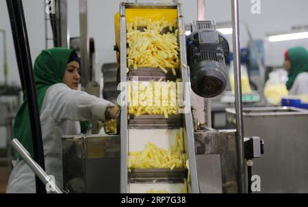 (190206) -- GAZA, 6. Februar 2019 -- palästinensische Frauen arbeiten am 30. Januar 2019 in der Fabrik Rosetta im nördlichen Gazastreifen Beit Hanoun. Die erste Pommes-Frites-Fabrik im Gazastreifen, die auf Initiative der Agrogenossenschaft (ACS) gegründet wurde, bot Frauen, insbesondere jungen Absolventen, seltene Beschäftigungsmöglichkeiten und half den Landwirten mit dem Überschuss an Kartoffelernte. Stringer) MIDEAST-GAZA-FRENCH-FRITTEN-FACTORY ZhaoxYue PUBLICATIONxNOTxINxCHN Stockfoto