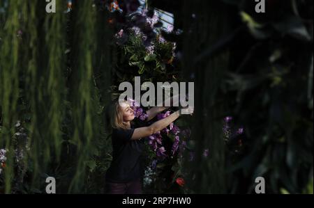 (190207) -- LONDON, 7. Februar 2019 (Xinhua) -- der Kew-Gartenbauexperte Hannah Button bringt den letzten Schliff in die Gartenschau des Kew Orchid Festival 2019, das am 7. Februar 2019 in den Kew Gardens in London, der britischen Hauptstadt, stattfindet. Das vom 9. Februar bis 10. März stattfindende Festival ist zum ersten Mal auf Kolumbien ausgerichtet und zeigt über 6.200 bunte Orchideen und Hunderte anderer tropischer Pflanzen. (Xinhua/Han Yan) UK-LONDON-KEW ORCHID FESTIVAL-PRESS PREVIEW PUBLICATIONxNOTxINxCHN Stockfoto