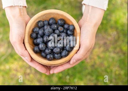 Frau mit Blick von oben, die eine Schüssel mit Blaubeeren hält Stockfoto