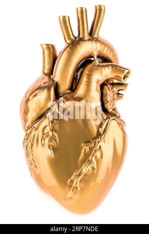 Golden Human Heart, 3D-Rendering isoliert auf weißem Hintergrund Stockfoto