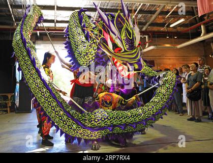 (190211) -- CANBERRA, 11. Februar 2019 (Xinhua) -- Chinesische und lokale Künstler präsentieren traditionelle Drachen- und Löwentänze an einem internationalen Tag auf den Old Bus Depot Markets in Canberra, Australien, am 10. Februar 2019. Das alte Busdepot in Kingston, Australiens Hauptstadt Canberra, hat vor mehr als drei Jahrzehnten die Unterbringung von Bussen eingestellt. Jeden Sonntag ist es jedoch immer noch voller Besucher. Heute ist es der Old Bus Depot Markets, einer der beliebtesten Märkte in Australien. Nach dem chinesischen Neujahrsfest war es Zeuge eines internationalen Tages, der Besucher in verschiedene Kulturen brachte. Xi Stockfoto