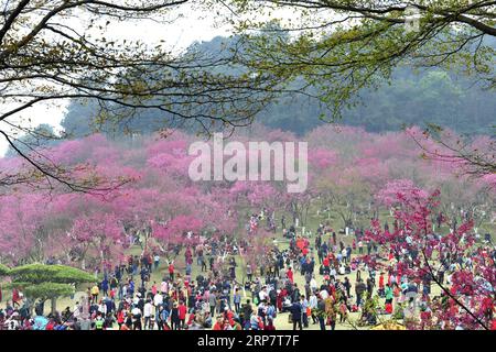 (190211) -- PEKING, 11. Februar 2019 -- Touristen besuchen den Shimen-Waldpark in Nanning, südchinesische autonome Region Guangxi Zhuang, 5. Februar 2019. ) Xinhua Schlagzeilen: Der Lunar Neujahrsverbrauch spiegelt Chinas wirtschaftliche Stärke YuxXiangquan PUBLICATIONxNOTxINxCHN wider Stockfoto