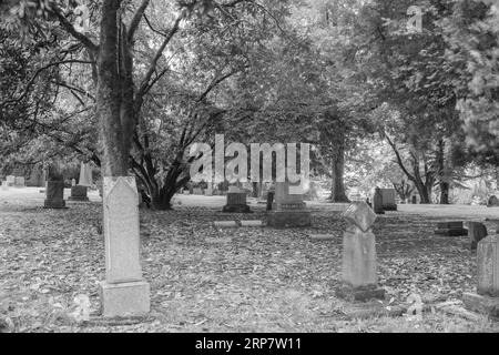 Schwarz-weiß-Foto von Grabsteinen auf dem Lone Fir Pioneer Cemetery in Portland, Oregon Stockfoto