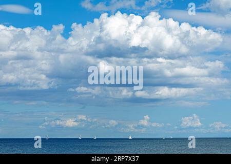 Segelboote, Küste nahe Maasholm, Schleswig-Holstein, Deutschland Stockfoto