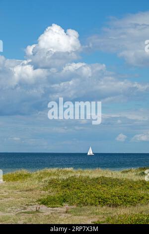 Segelboot, Dünen, Meer, Küste bei Maasholm, Schleswig-Holstein, Deutschland Stockfoto