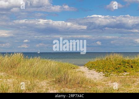 Segelboot, Dünen, Meer, Küste bei Maasholm, Schleswig-Holstein, Deutschland Stockfoto