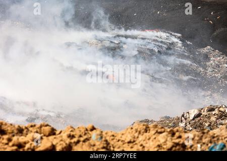 Gaza, Palästina. September 2023. Streunende Hunde ruhen sich aus, während Feuerwehrmänner eine Flamme bekämpfen, auf einer Müllhalde östlich von Gaza-Stadt. Die größte Mülldeponie fing aufgrund hoher Temperaturen und hoher Windgeschwindigkeiten Feuer an, und palästinensische Feuerwehrfahrzeuge stürzten aus, damit sie sich nicht auf Wohnviertel ausbreiteten. Quelle: SOPA Images Limited/Alamy Live News Stockfoto