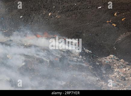 Gaza, Palästina. September 2023. Streunende Hunde ruhen sich aus, während Feuerwehrmänner eine Flamme bekämpfen, auf einer Müllhalde östlich von Gaza-Stadt. Die größte Mülldeponie fing aufgrund hoher Temperaturen und hoher Windgeschwindigkeiten Feuer an, und palästinensische Feuerwehrfahrzeuge stürzten aus, damit sie sich nicht auf Wohnviertel ausbreiteten. Quelle: SOPA Images Limited/Alamy Live News Stockfoto