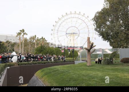 (190214) -- WAKAYAMA, 14. Februar 2019 (Xinhua) -- die Leute schauen auf den riesigen Panda Eimei in der Abenteuerwelt in Shirahama, Wakayama, Japan, 14. Februar 2019. Eimei, 26 Jahre alt, erhielt ein Kissen aus frischem Bambus und einem Hasenbeutel mit den japanischen Wörtern We Love Eimei und herzförmigem Eis als Valentinstag-Geschenke. (Xinhua/du Xiaoyi) JAPAN-WAKAYAMA-PANDA-VALENTINE S DAY PUBLICATIONxNOTxINxCHN Stockfoto