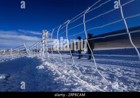 (190227) -- LHASA, 27. Februar 2019 (Xinhua) -- Mitarbeiter der Wildlife Management and Conservation Station sind auf einer Patrouillenmission im Shuanghu County, südwestchinesische autonome Region Tibet, 1. Februar 2019. Shuanghu County, 5.000 Meter über dem Meeresspiegel in der autonomen Region Tibet im Südwesten Chinas, leidet an 200 Tagen im Jahr unter starkem Wind. Mit einer Jahresdurchschnittstemperatur von minus fünf Grad Celsius ist Shuanghu die Heimat des weltweit drittgrößten Gletschers, des Purog Kangri. Gelegentlich sinkt die Temperatur hier auf minus 40 Grad Celsius. Das County, etwa 120.000 Quadratkilometer Stockfoto