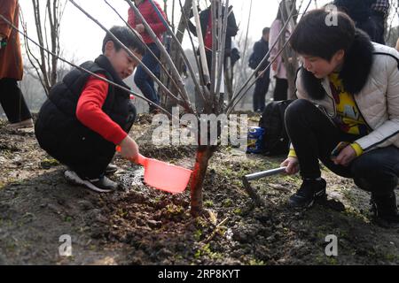 (190310) -- HANGZHOU, 10. März 2019 -- Ein Kind bewässert einen Baum im Xixi National Wetland Park in Hangzhou, ostchinesische Provinz Zhejiang, 10. März 2019. Insgesamt 30 Familien pflanzten am Sonntag Bäume im Feuchtgebiet, um den bevorstehenden Arbor Day zu begrüßen. ) CHINA-HANGZHOU-ARBOR TAGESBAUMPFLANZUNG (CN) HUANGXZONGZHI PUBLICATIONXNOTXINXCHN Stockfoto