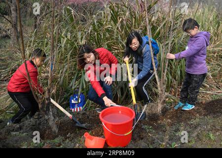 (190310) -- HANGZHOU, 10. März 2019 -- Menschen Pflanzen Bäume im Xixi National Wetland Park in Hangzhou, ostchinesische Provinz Zhejiang, 10. März 2019. Insgesamt 30 Familien pflanzten am Sonntag Bäume im Feuchtgebiet, um den bevorstehenden Arbor Day zu begrüßen. ) CHINA-HANGZHOU-ARBOR TAGESBAUMPFLANZUNG (CN) HUANGXZONGZHI PUBLICATIONXNOTXINXCHN Stockfoto