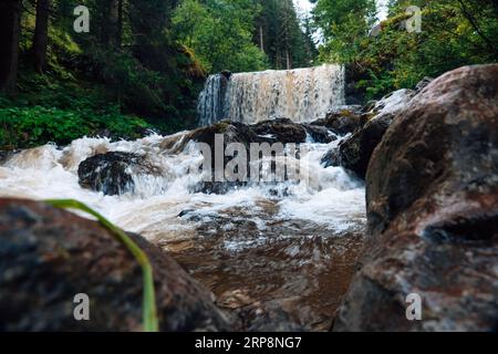 Waldfluss. Wasser kocht und gießt über große Felsbrocken und Steine. Schöner natürlicher Hintergrund mit Wasser und grünen Pflanzen. Stockfoto