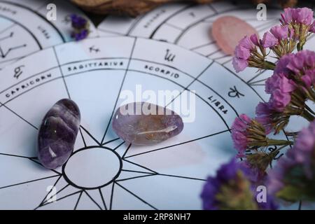 Astrologie-Vorhersage. Zodiac-Räder, Blumen und Edelsteine, Nahaufnahme Stockfoto