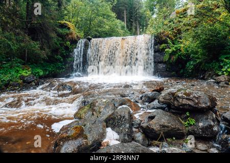 Wasserfall Hintergrund.Wasser kocht und gießt über große Felsen und Steine.Wald Fluss.schöner natürlicher Hintergrund mit Wasser und grünen Pflanzen. Stockfoto