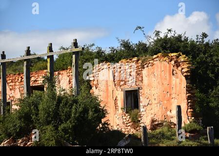 Großformatige Nahaufnahme von Ruinen aus Ziegelsteinen aus einem alten Dorf in der südafrikanischen Wildnis. Stockfoto