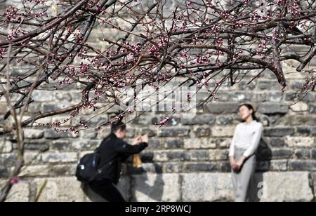 (190316) -- PEKING, 16. März 2019 (Xinhua) -- Eine touristische Pose für Fotos im Beijing Ming Dynastie (1368-1644) Stadtmauer Reliquienpark in Peking, Hauptstadt von China, 16. März 2019. (Xinhua/Li Xin) CHINA-PEKING-FRÜHLING-LANDSCHAFT (CN) PUBLICATIONxNOTxINxCHN Stockfoto