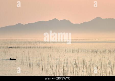 (190317) -- PEKING, 17. März 2019 (Xinhua) -- Foto aufgenommen am 15. März 2019 zeigt einen Blick auf das Meer im Xiapu County, südöstliche Provinz Fujian. (Xinhua/Wei Peiquan) XINHUA FOTOS DES TAGES PUBLICATIONxNOTxINxCHN Stockfoto
